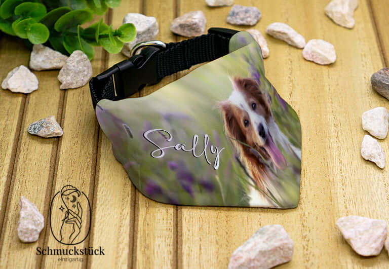 Personalisiertes Hundehalsband mit Halstuch – der perfekte Look für deinen Vierbeiner!, Schmuckstück - einzigartig