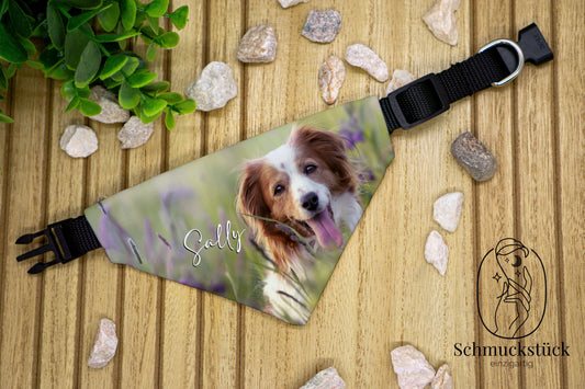 Personalisiertes Hundehalsband mit Halstuch – der perfekte Look für deinen Vierbeiner!, Schmuckstück - einzigartig