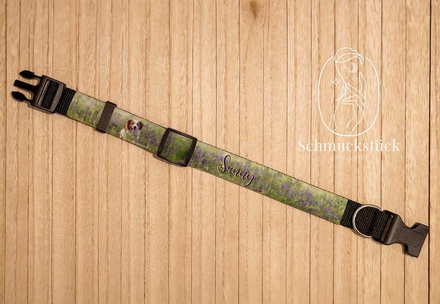 individuell gestaltetes Hundehalsband mit eigenem Foto / Name, Schmuckstück - einzigartig