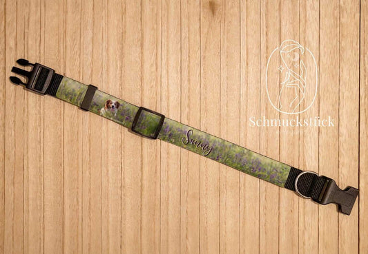 individuell gestaltetes Hundehalsband mit eigenem Foto / Name, Schmuckstück - einzigartig
